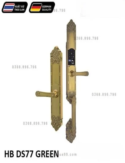 HB-DS77-GREEN-6